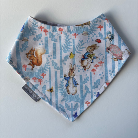 Flat Style Bib | Peter Rabbit & Gingham