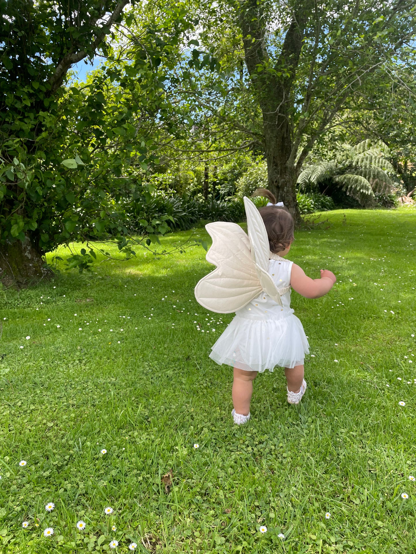 Fabric Fairy Wings