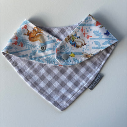 Flat Style Bib | Peter Rabbit & Gingham
