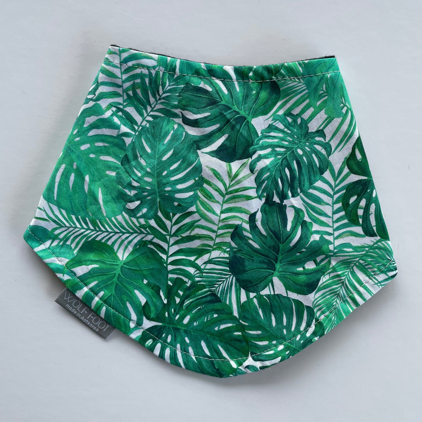 Bandana Bib | Monstera Madness
