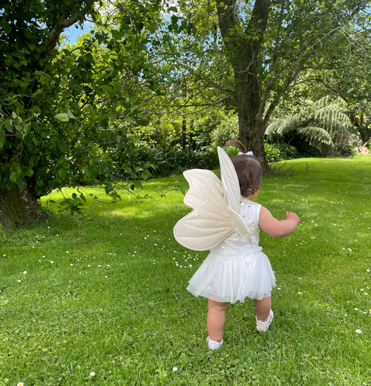 Fabric Fairy Wings